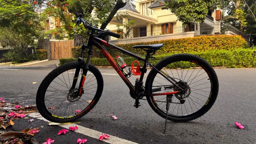 Polygon Premiere 5 S