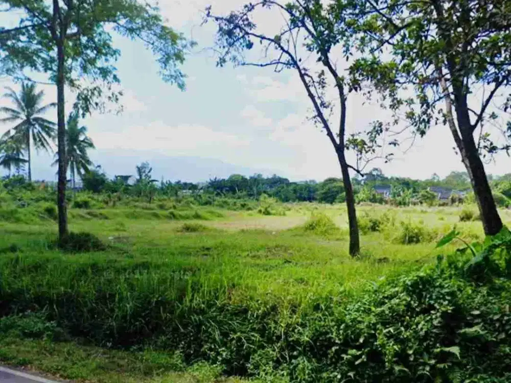 TANAH 2 HEKTAR NOL JALAN UTAMA KALIWATES