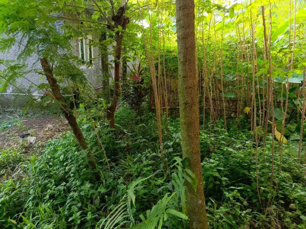 Dijual rumah dan tanah pekarangan, untuk harga nego