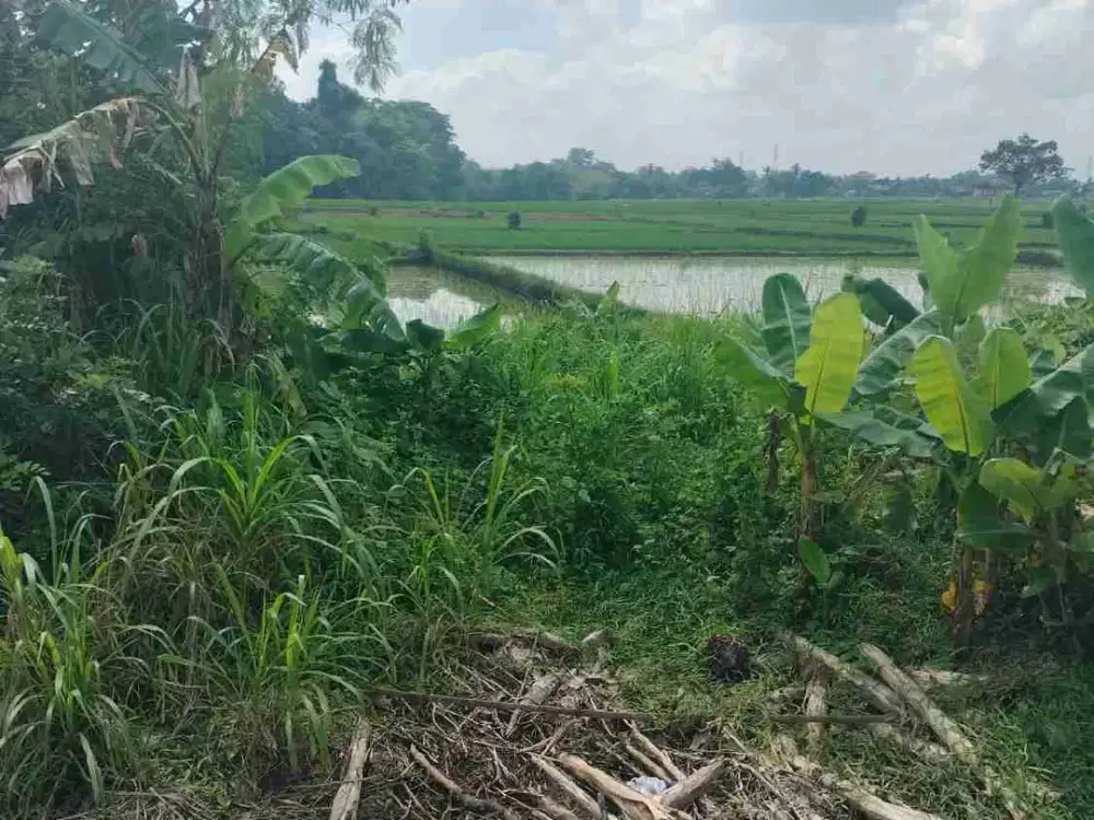 Tanah Jalan Pantai Kedungu Tabanan Bali