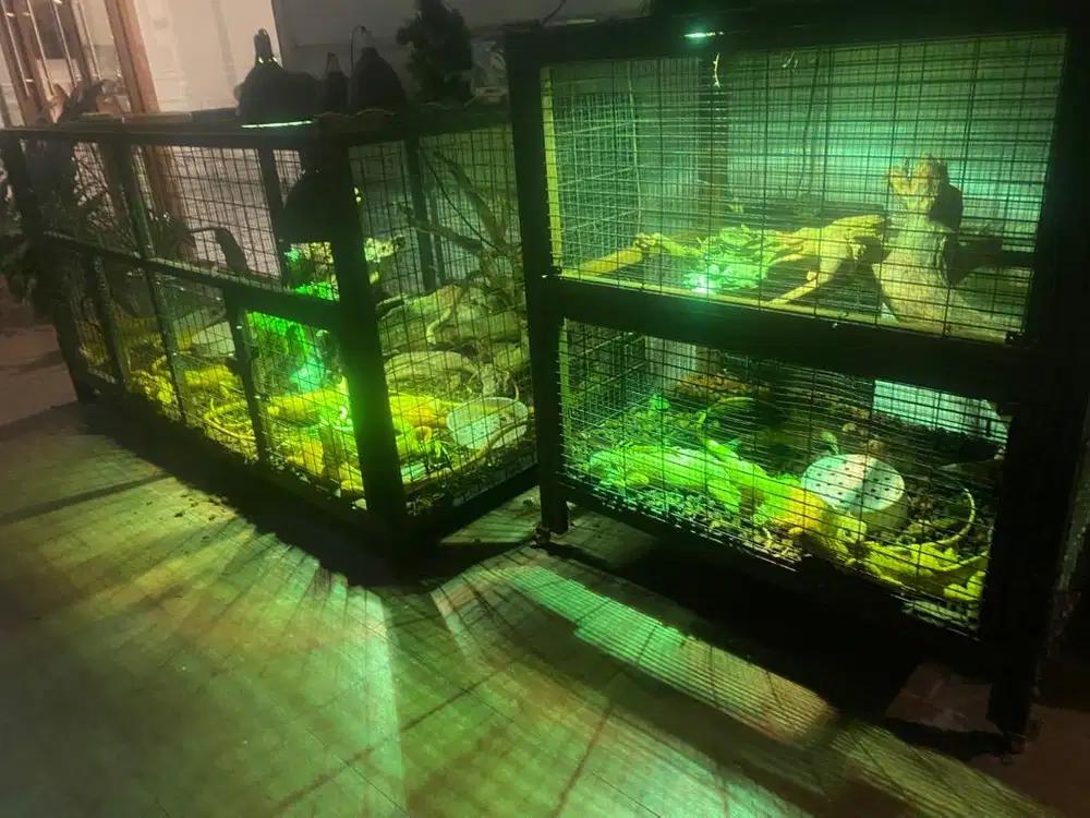 Kandang hewan premium