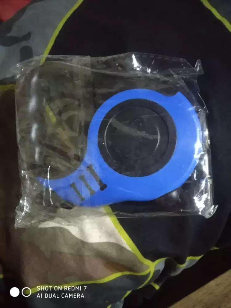 Di lepas tali kucing anjing