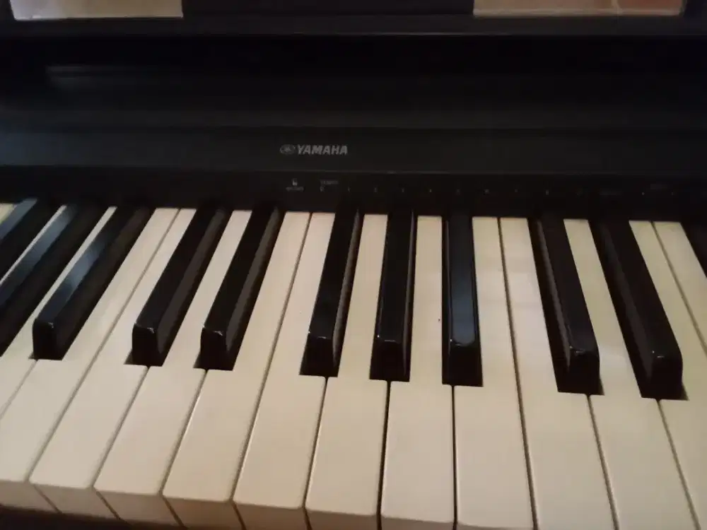 Clavinova Yamaha P-35