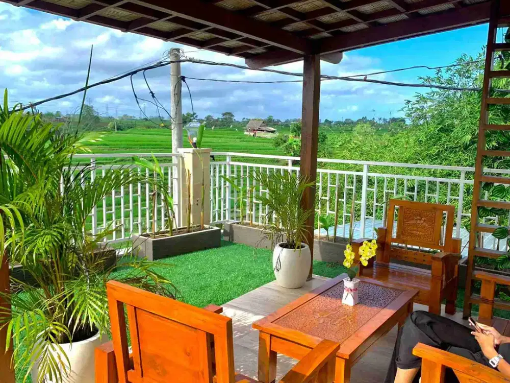 villa munggu villa canggu view sawah