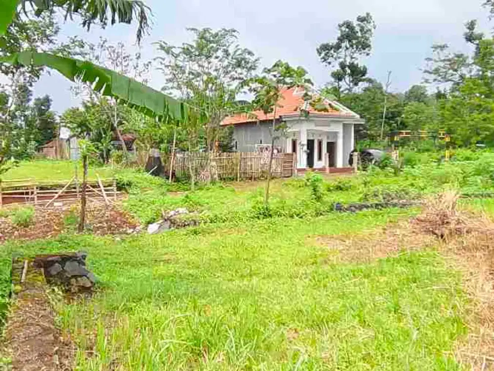 Tanah Luas 169 m murah