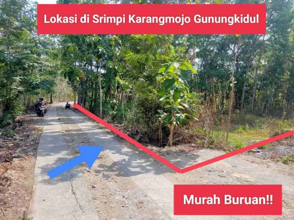 Jual Tanah Murah Dekat Fasilitas Umum di Srimpi Karangmojo Gunung Kidul luas 1002 m2 hanya 145 jt Nego