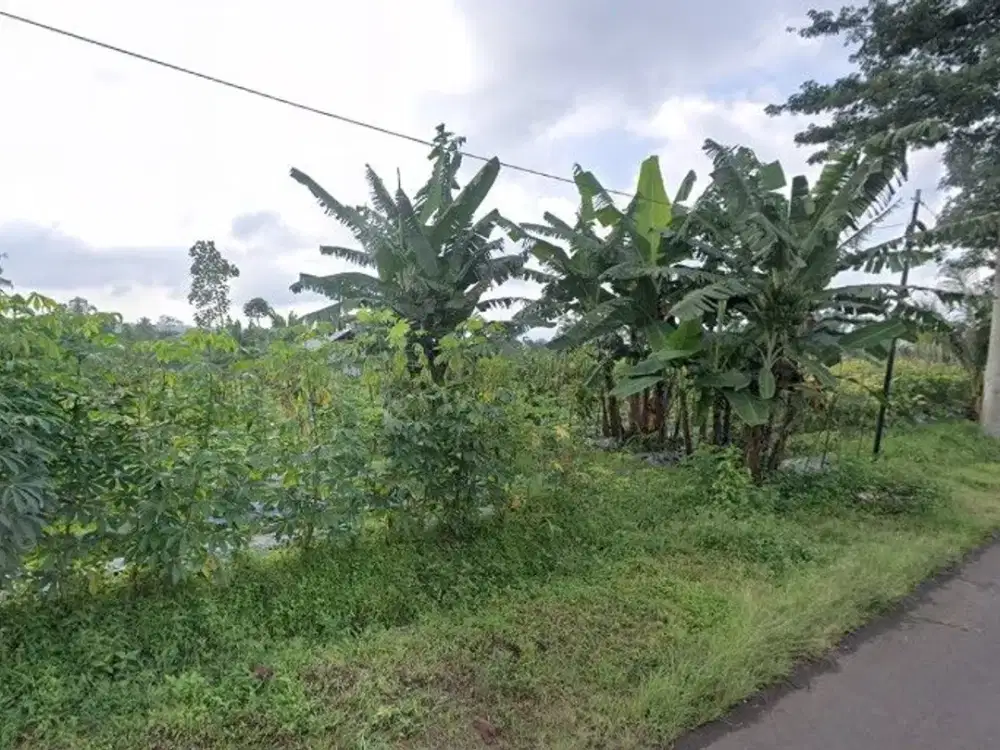 Tanah kosong poros aspal bocek yonkes Lt7000 akses truck SHM leb80