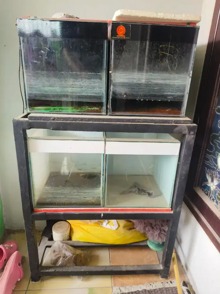 Forr sale aquarium ikan