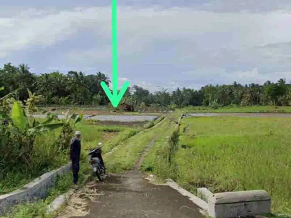 Tanah Sawah View Gunung Merapi