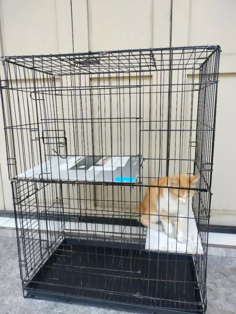 Kandang Jumbo Kucing Anjing Bekas