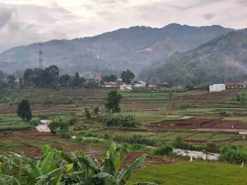 JUAL CEPAT TANAH NEMPEL SUNGAI MURAH VIEW BAGUS CIMAUNG BANDUNG SELATAN