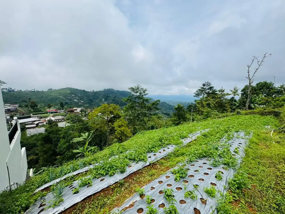 Dijual tanah SHM 400m2 nice view