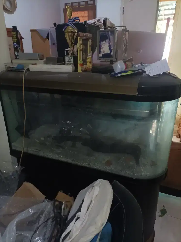 Akuarium besar dengan lemari bawah