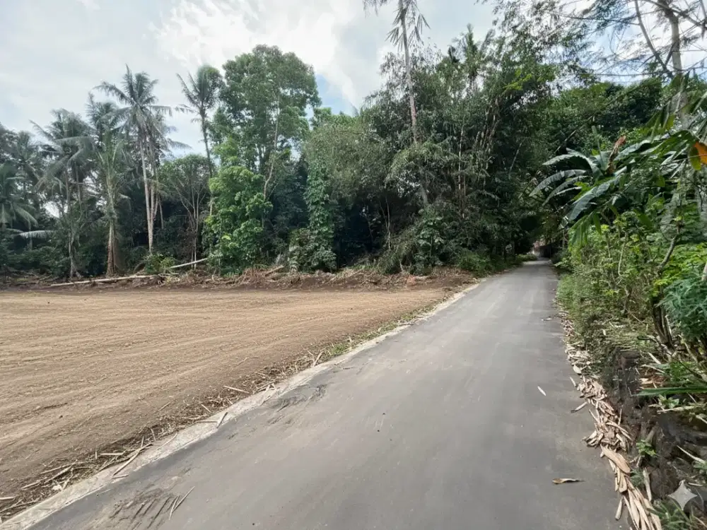 Tanah SHMP 100 Jtaan Belakang Kantor BPN Sleman