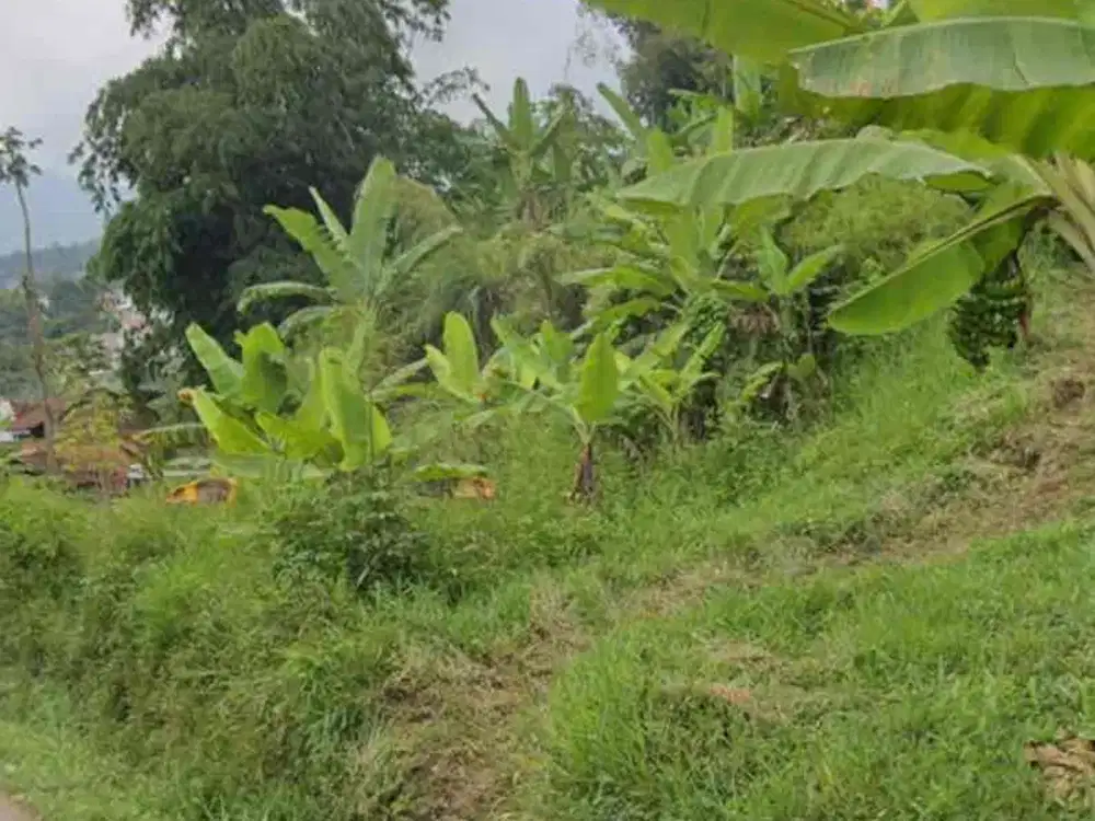 Tanah Sindanglaya cocok untuk jadi peruman sekolah atau resto