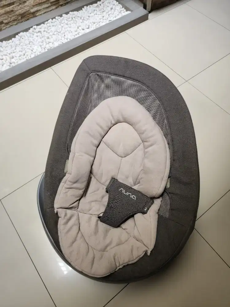 Nuna leaf curv preloved