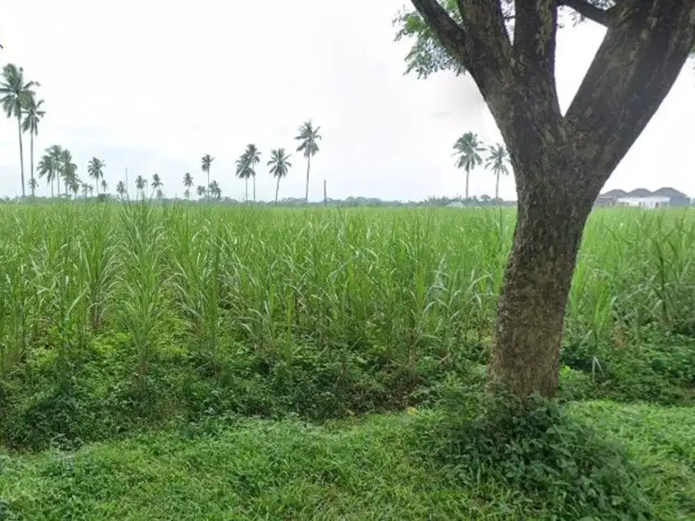 Tanah dijual lingkar barat Kepanjen Lt3200 leb20 poros aspal jalan kembar