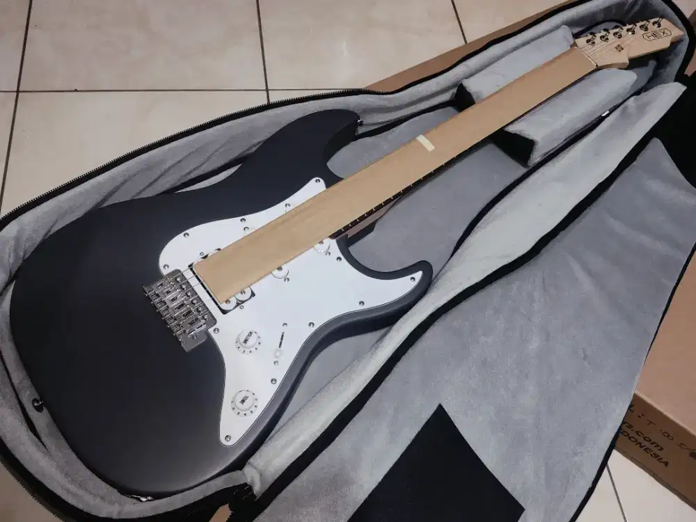Gitar Elektrik HEX E100 S/SG