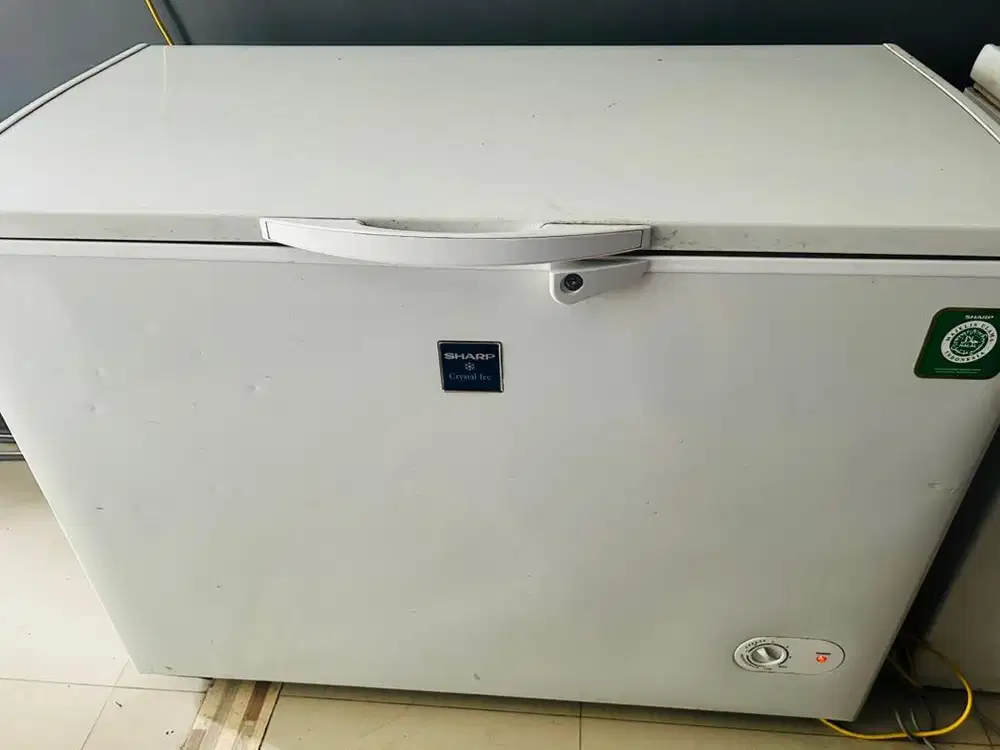 Freezer Aqua 300 litter