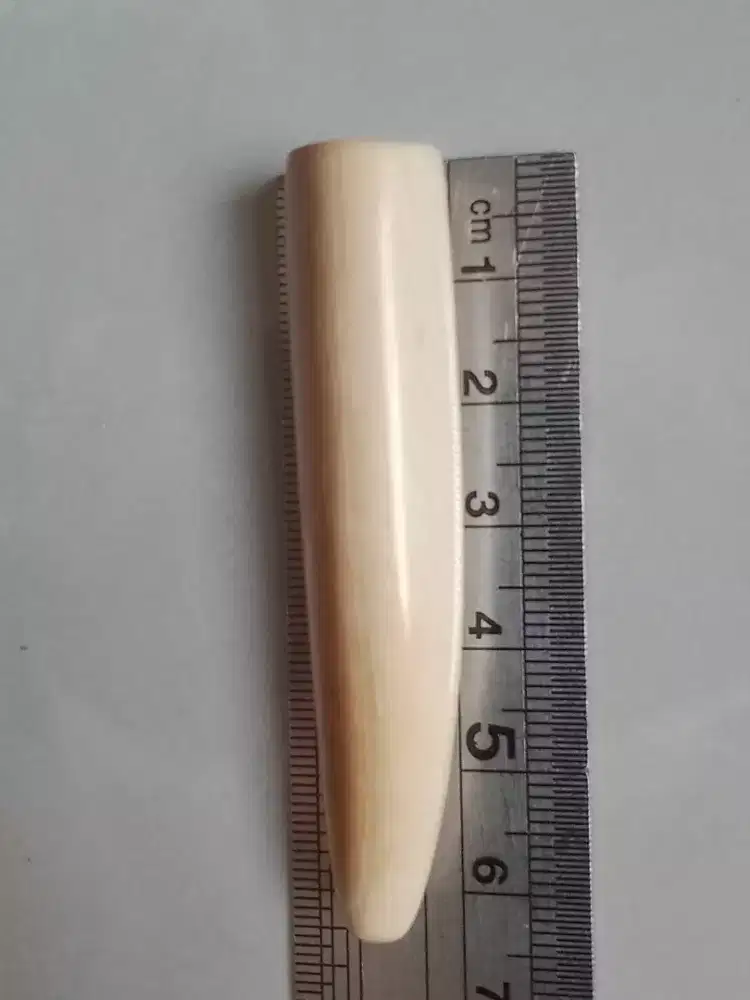 Pipa rokok semi lawasan rasa gurih dan pulen