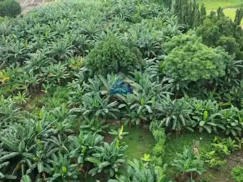 Dijual Cepat! Tanah Industri di Periuk - Kota Tangerang. Akses Container 40 Feet.