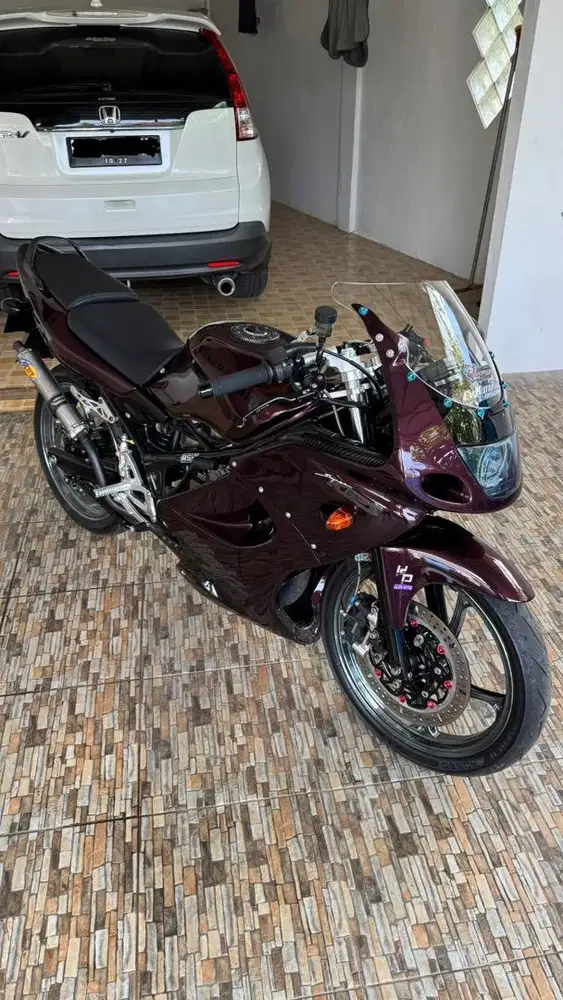 Kawasaki Ninja RR 2010