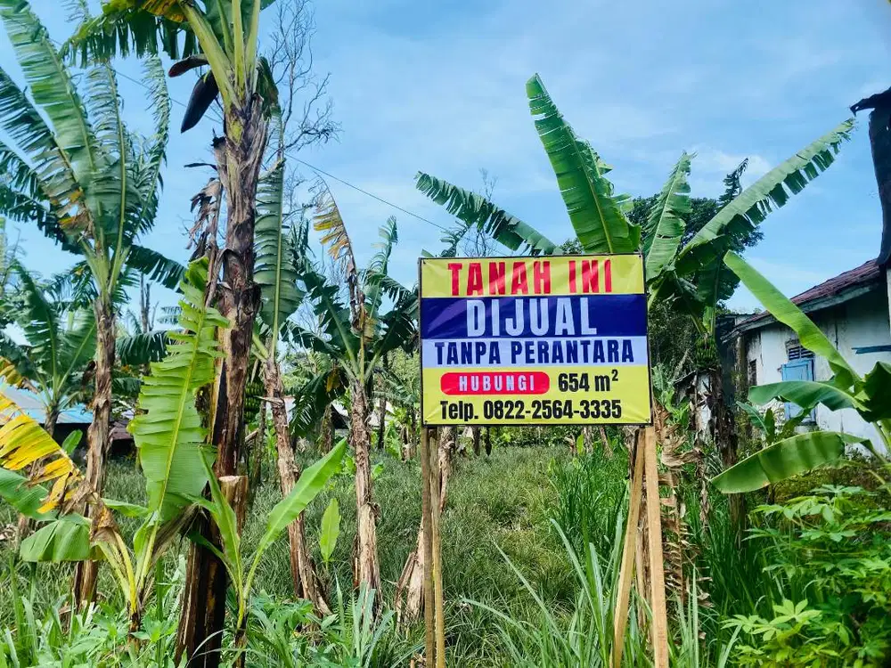 Dijual Tanah Luas 654 m2 di Jalan Raya Pulosari-Moga TANPA PERANTARA