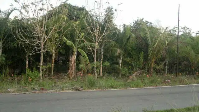 Tanah SHM Murah Tepi Jalan Besar Tanjung Pinang Kota Kepri 265 Rb/M2