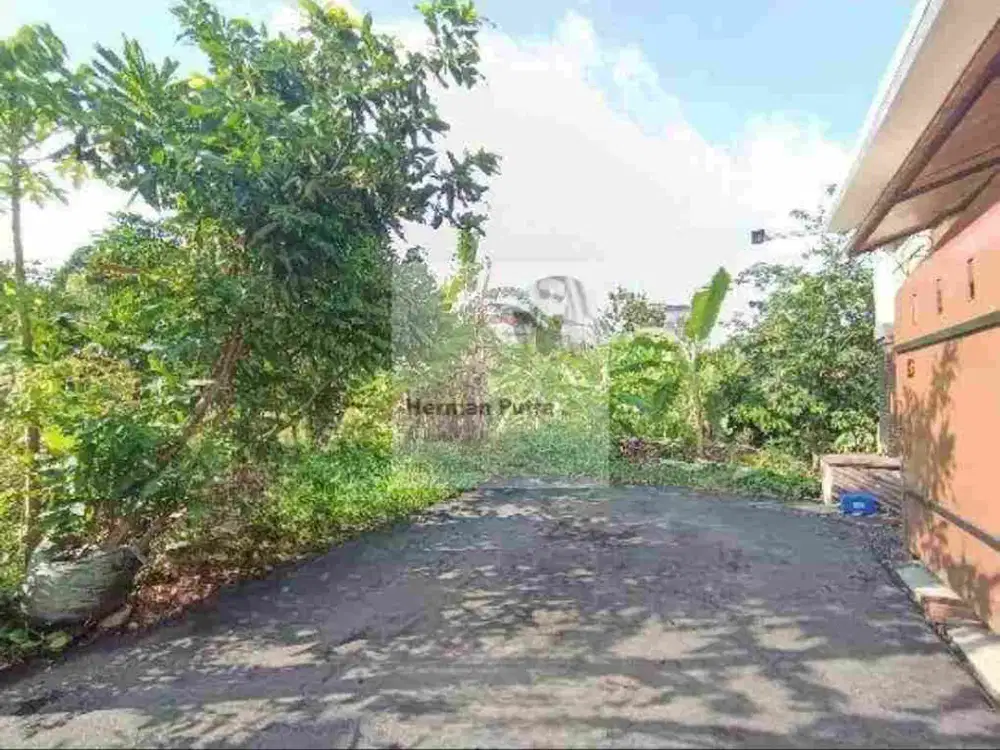 Tanah Tembalang Bulusan Utara Undip