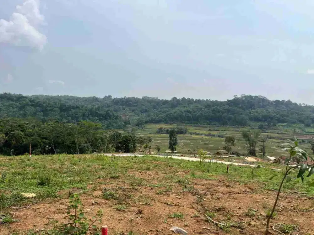 Di Jual Tanah Kavling Di Area Wisata