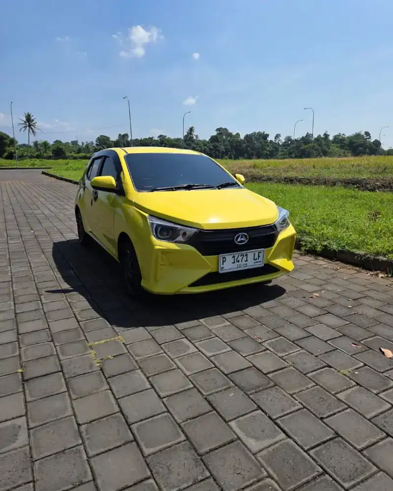 Ayla type X manual 2024