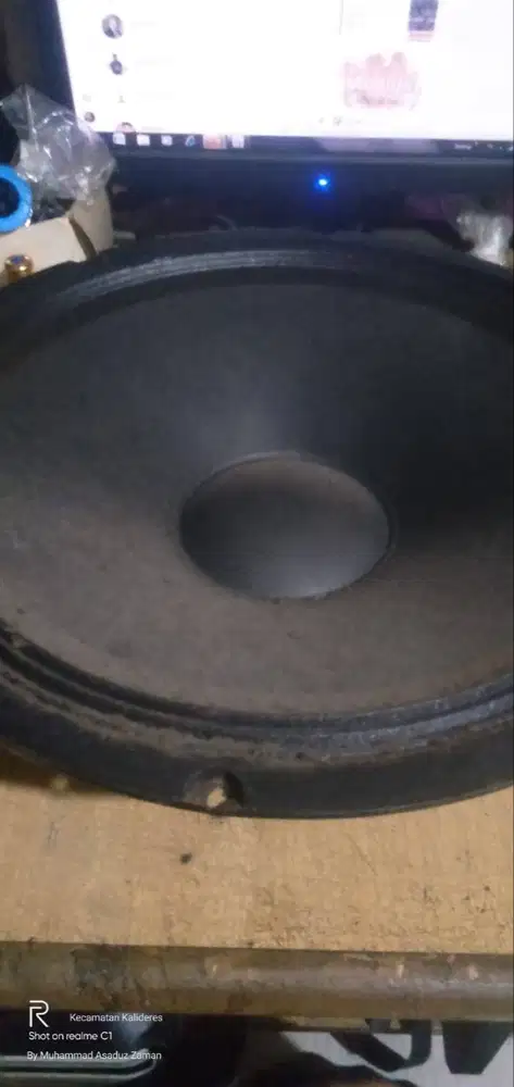 Speaker double coil 12 in woofer