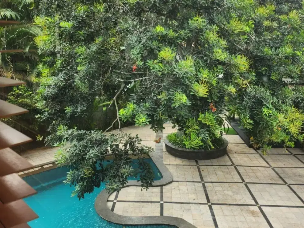 Rumah Cilandak Asri,Nyaman Lt 1925m2, Lb 850m2,5BR,1 Gym Room, 45M