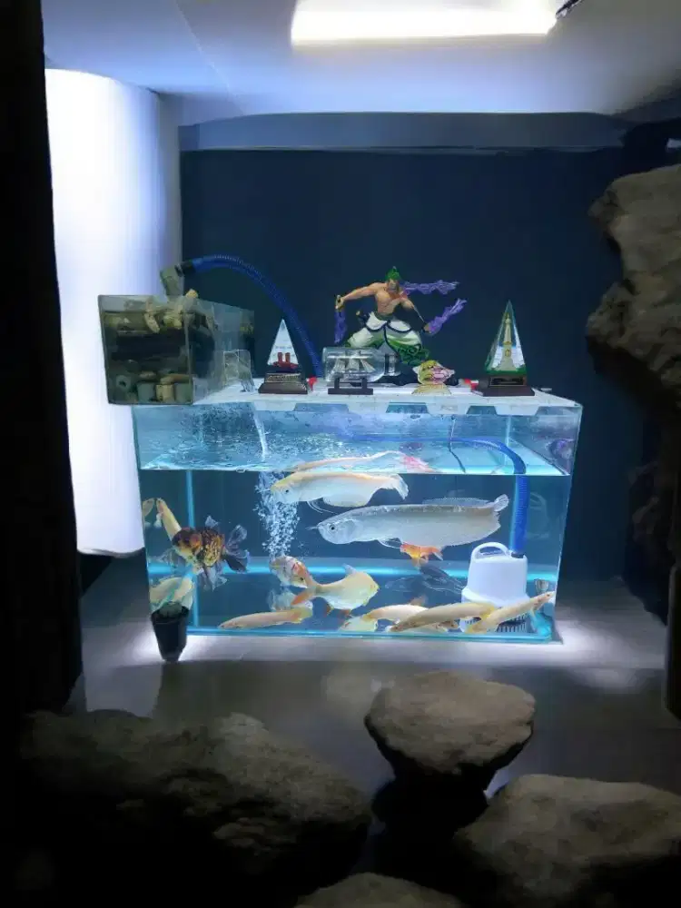 Ikan dan Aquarium Komplit