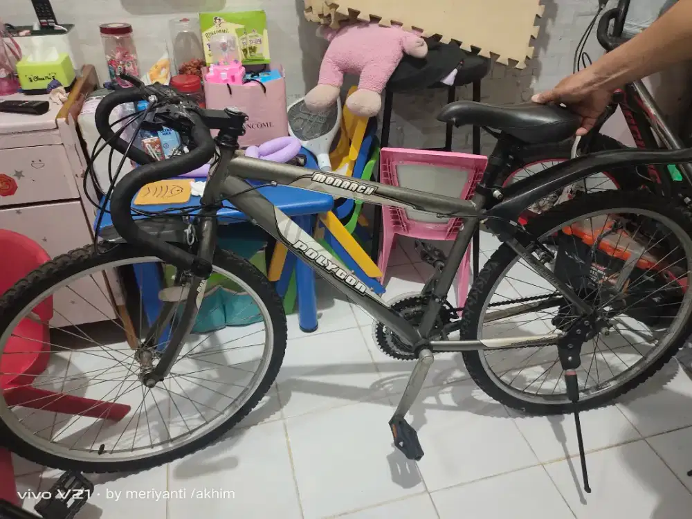 Sepeda santai polygon