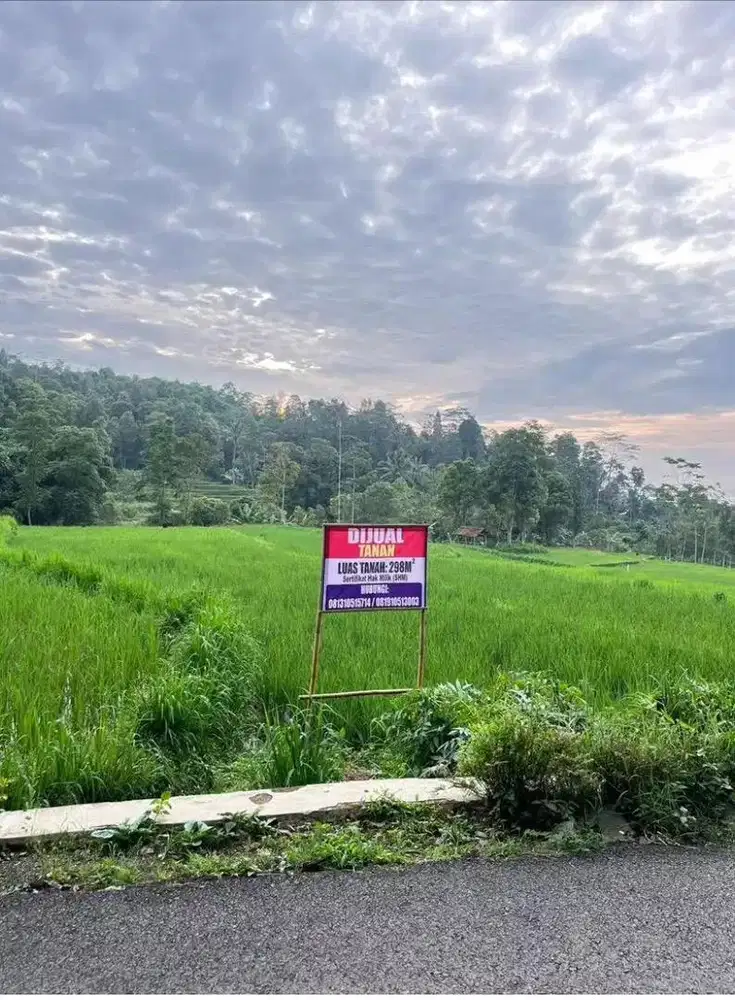 Dijual tanah sawah/kebun palawija di daerah wisata pegunungan