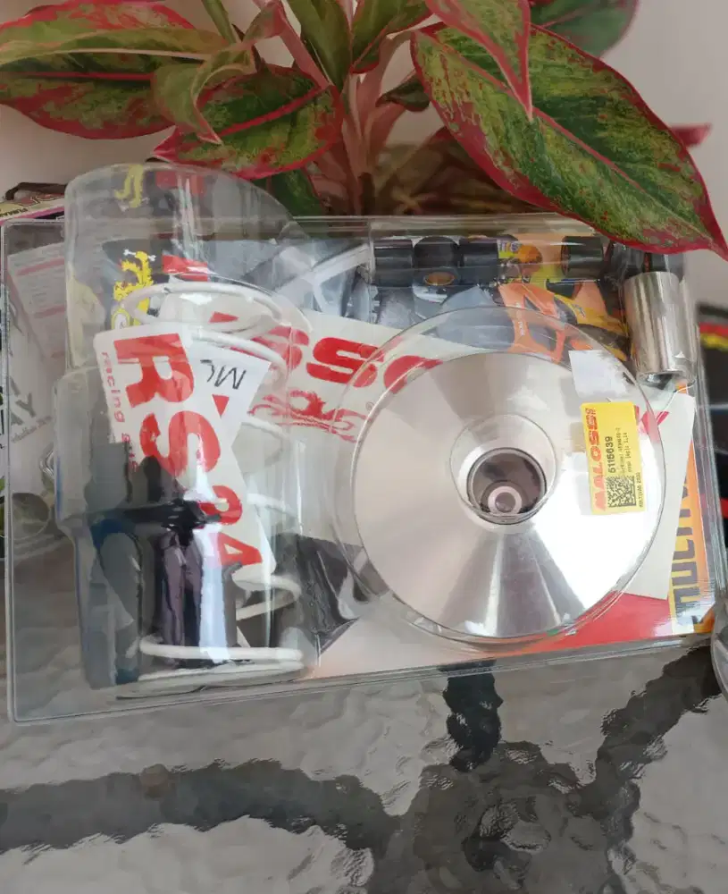 Bnib malossi variator set untuk vespa sprint Primavera
