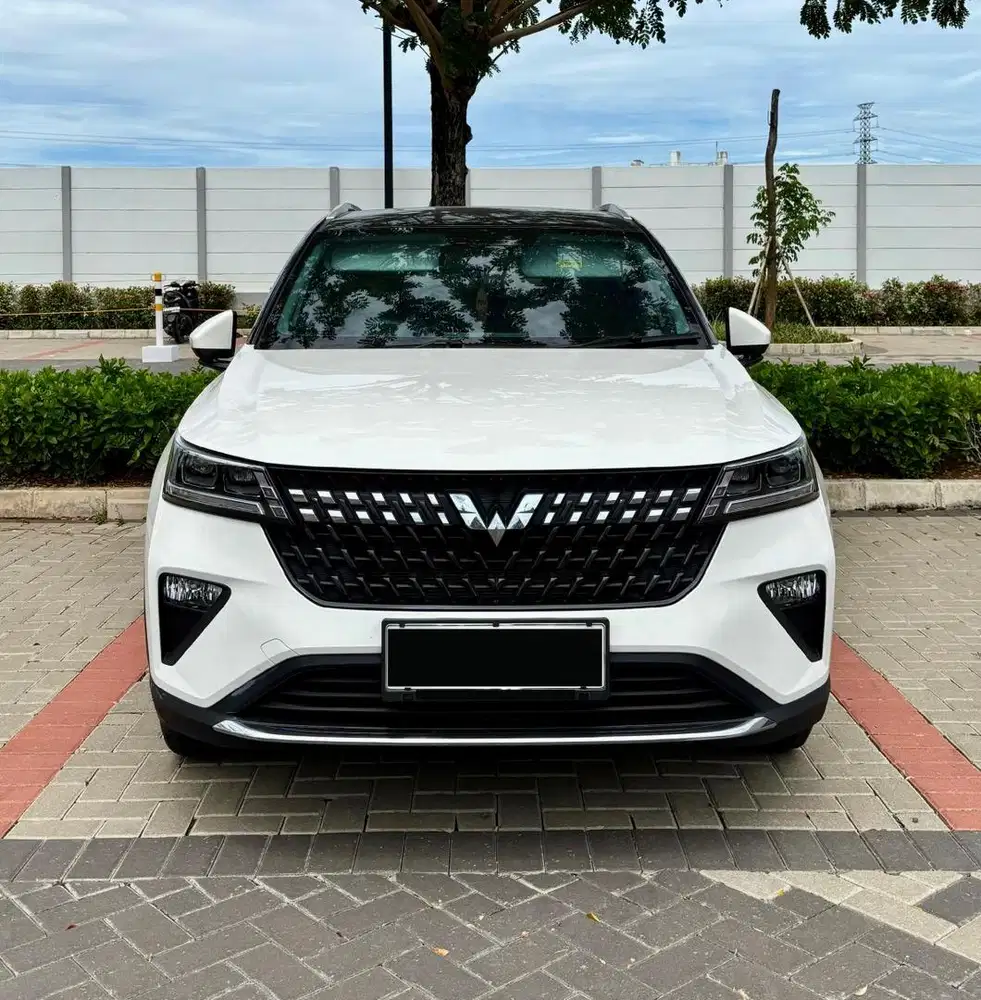 Milik Pribadi-Wuling Alvez EX 2023 Bensin