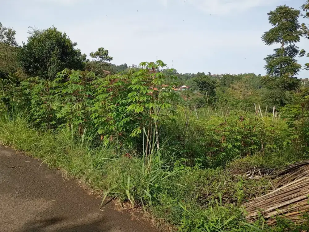 Jual Cepat Tanah Murah dan luas Pinggir jalan desa cocok buat villa