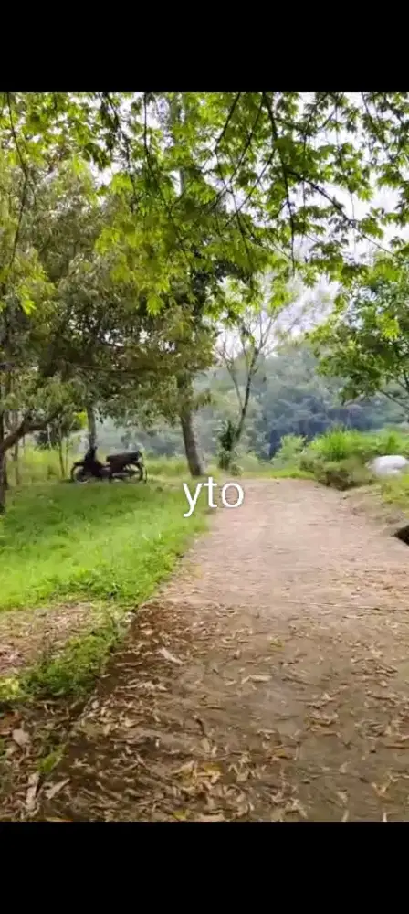 Jual tanah bonus pohon durian lokasi ngargoyoso lt 750m hrg 225jt nego