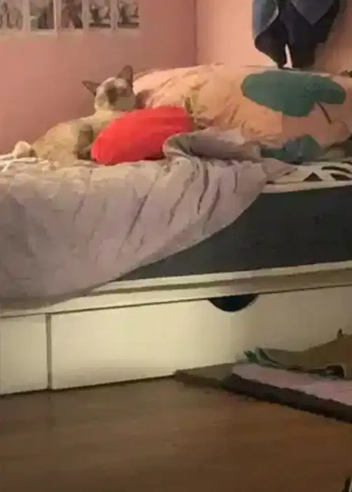 Ranjang dan Kasur 90x200