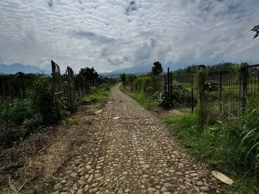 tanah dijual murah kota batu malang area villa kebun