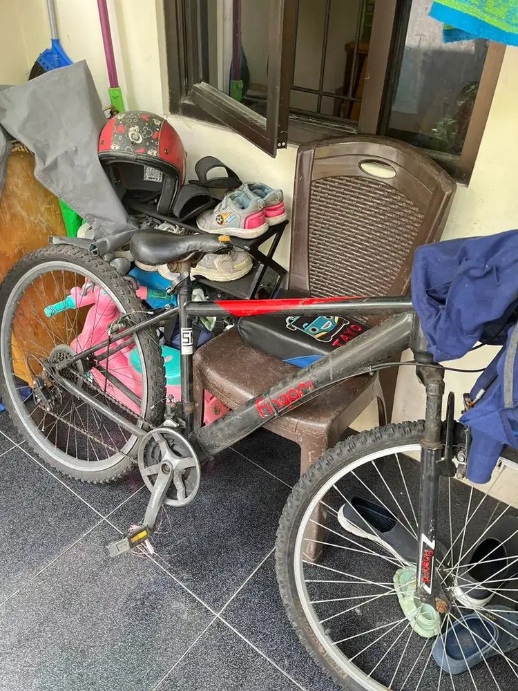 Sepeda fingard bekass