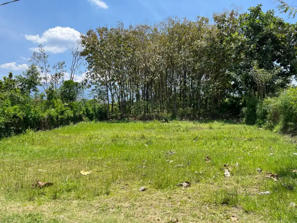Di jual tanah view pegunungan kawasan potensial rukos dekat UIN 3