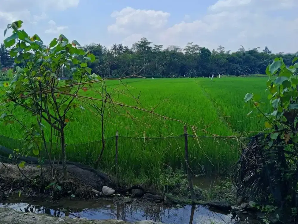 Dijual Tanah Pekarangan di Gamping 2 Menit Pasar Balecatur 1Jt/m