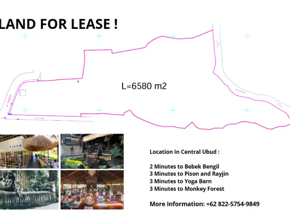 Land For Lease In Central Ubud - Thumbnail 7