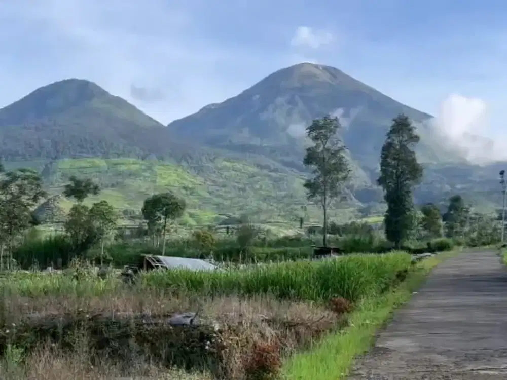 Tanah Cocok Untuk Glamping di Dikaki Gunung Sindoro