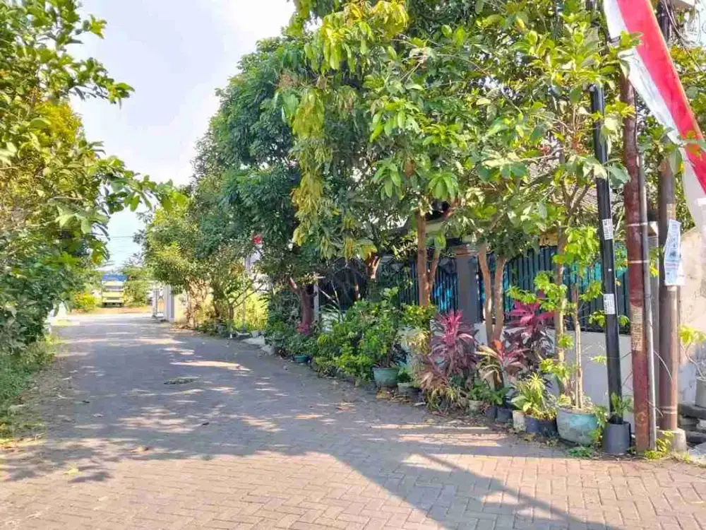 RUMAH SAWOJAJAR DUA MALANG