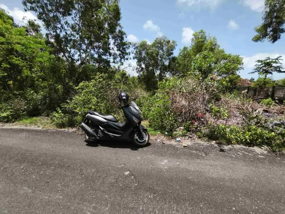 dijual tanah 4328m² kawasan pandawa beach kutuh Badung Bali