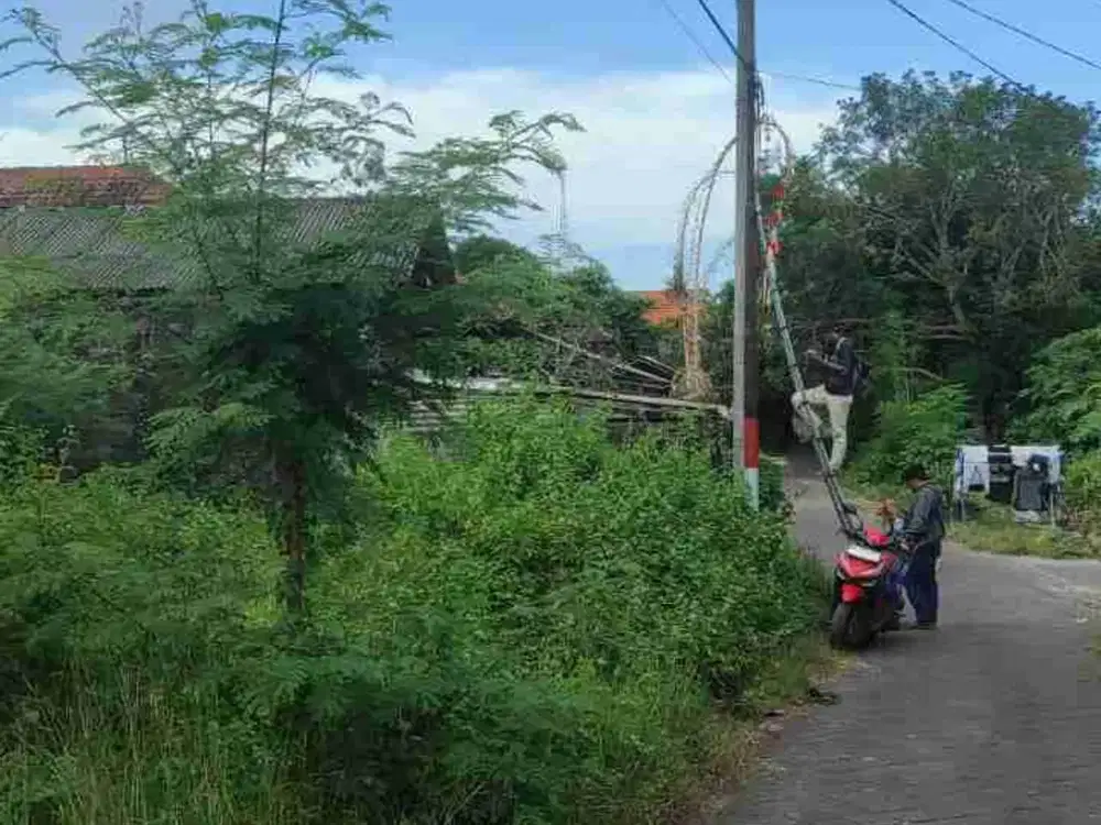 dijual tanah 460m²  IDR NETT 375 juta per ara dekat SMA negeri 1 kutuh Badung Bali